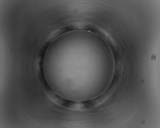 X0000102520217200808081435