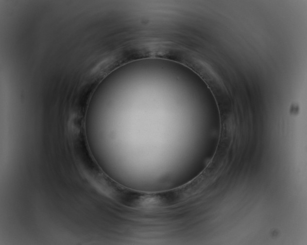 X0000102520218200808081435