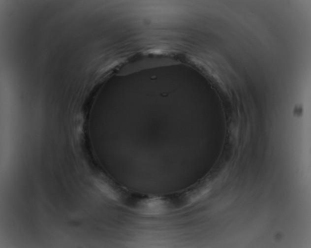 X0000102520219200808081435