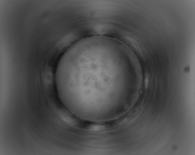 X0000102520220200808081435