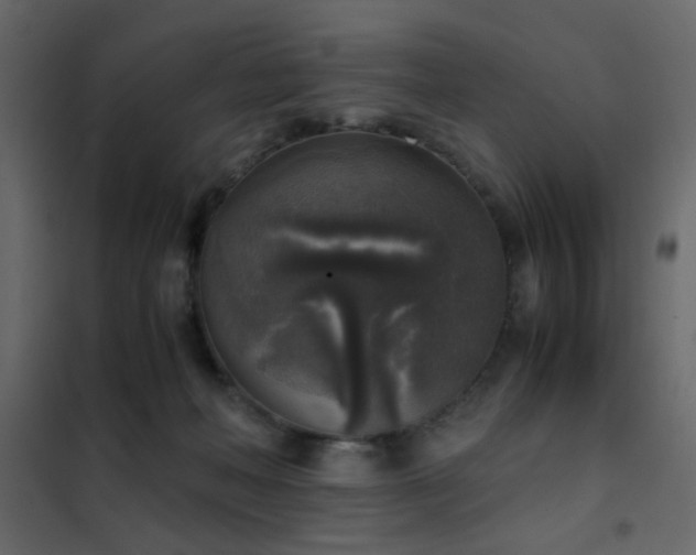 X0000102520222200808081435