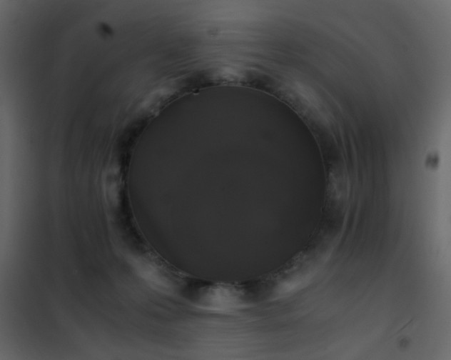 X0000102520223200808081435