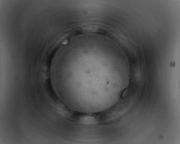 X0000102520224200808081435