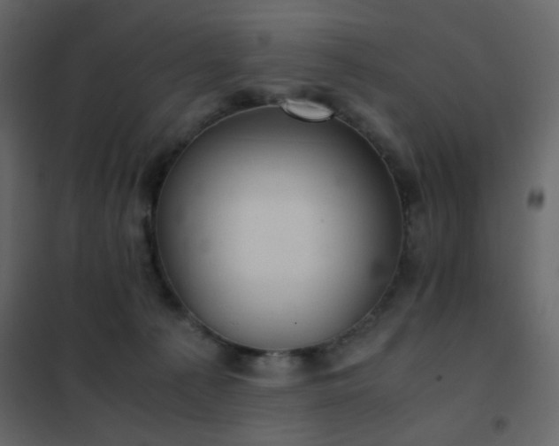 X0000102520225200808081435