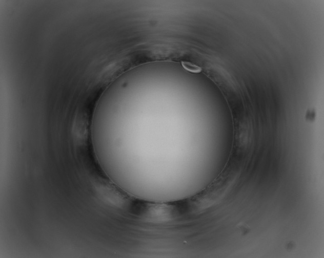 X0000102520226200808081435