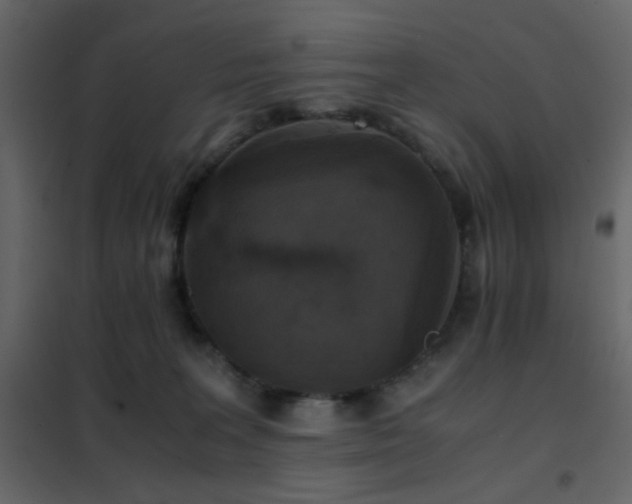 X0000102520227200808081435