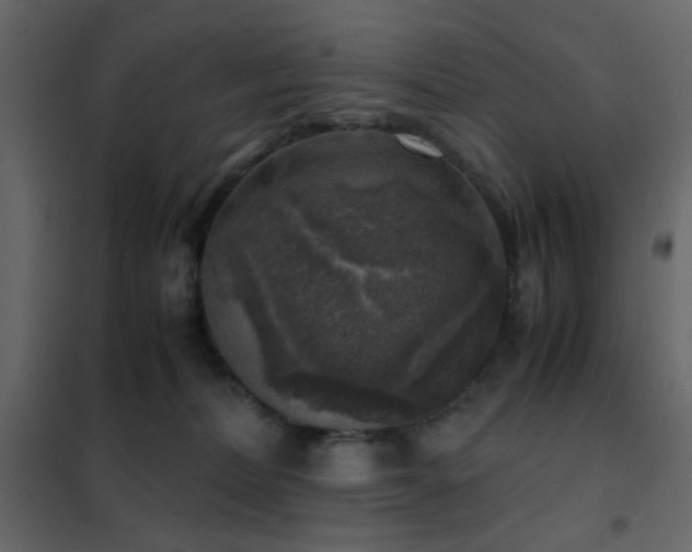 X0000102520228200808081435