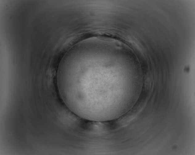 X0000102520229200808081435