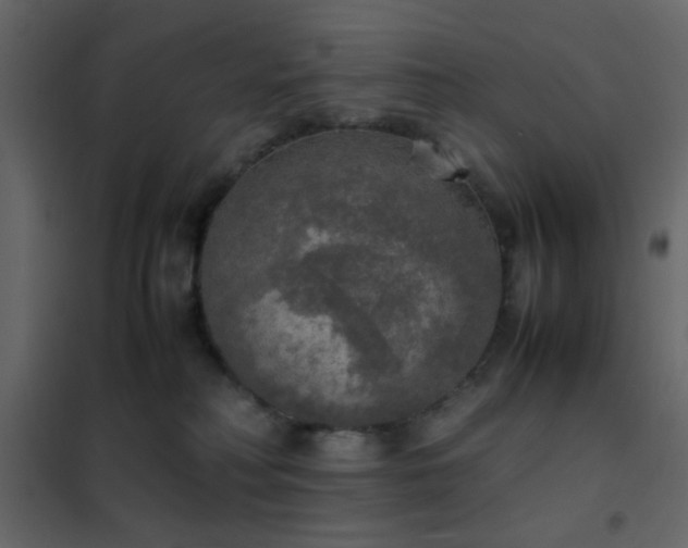 X0000102520230200808081435