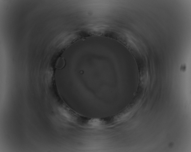 X0000102520231200808081435