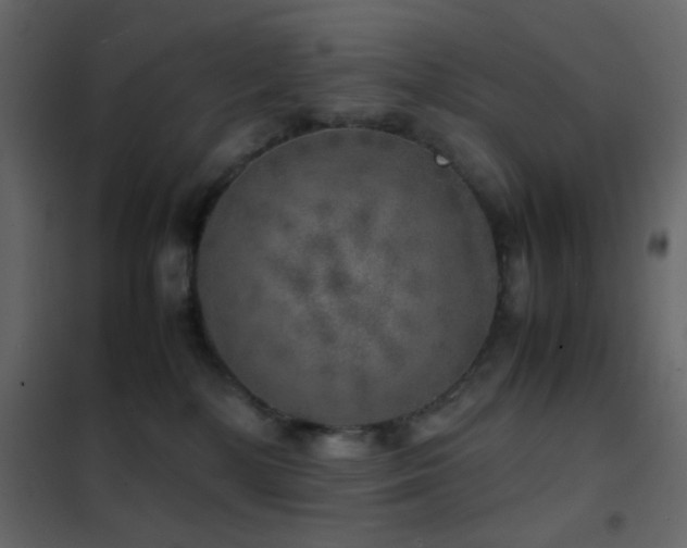 X0000102520232200808081435