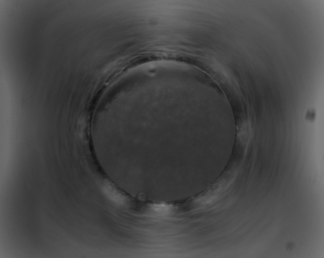 X0000102520233200808081435