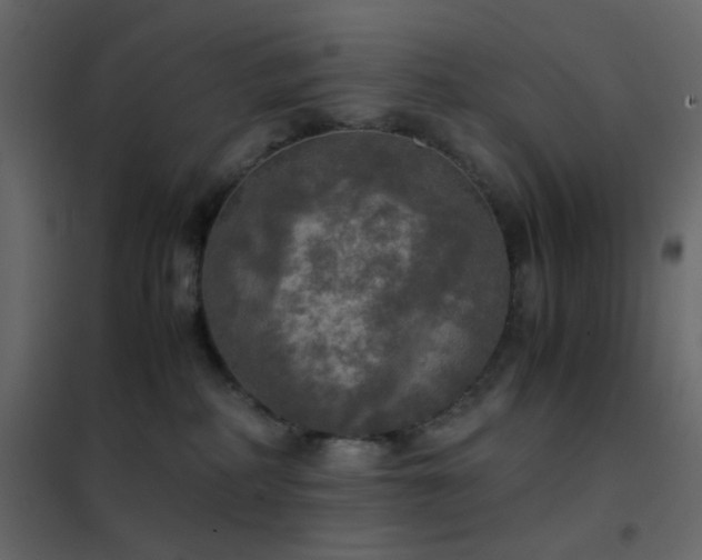 X0000102520234200808081435