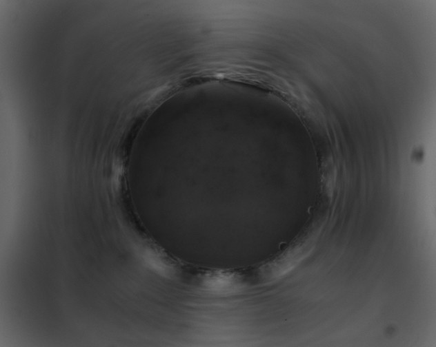 X0000102520235200808081435