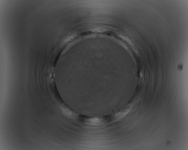 X0000102520237200808081434