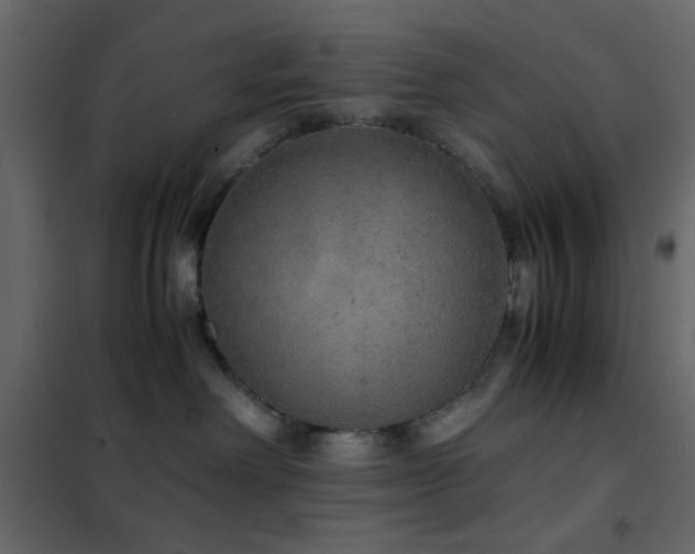 X0000102520238200808081434