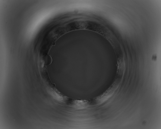 X0000102520239200808081434