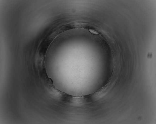 X0000102520240200808081434