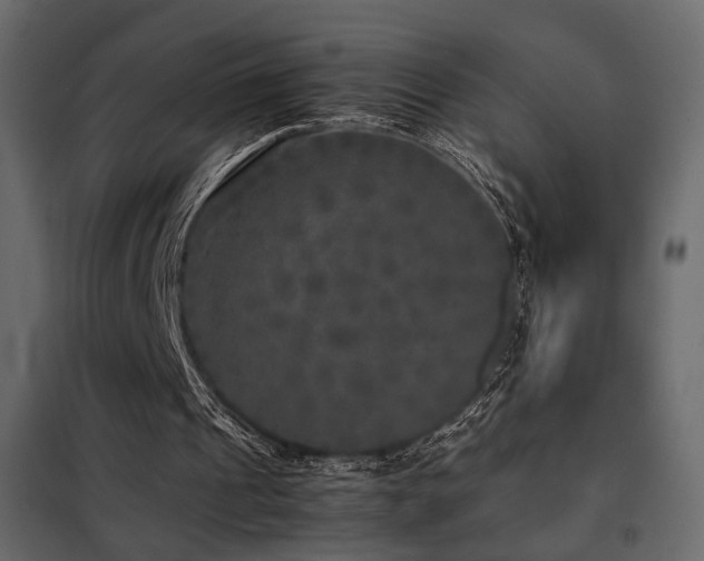 X0000102520241200808081434