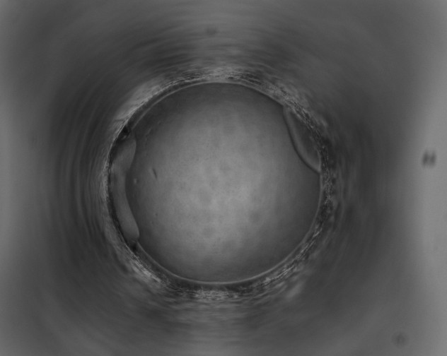 X0000102520242200808081434