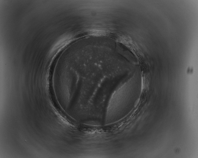 X0000102520243200808081434