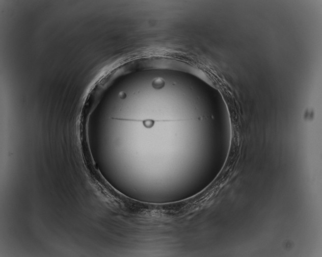 X0000102520244200808081434