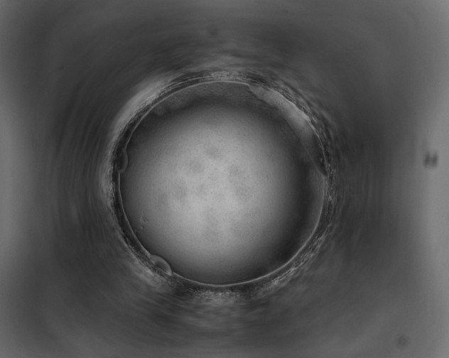 X0000102520245200808081434