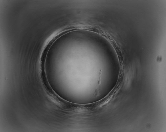 X0000102520246200808081434