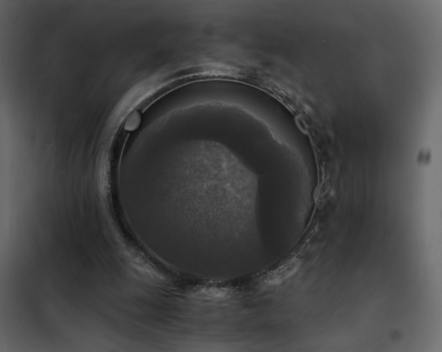 X0000102520247200808081434