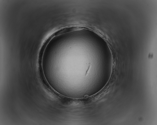 X0000102520248200808081434