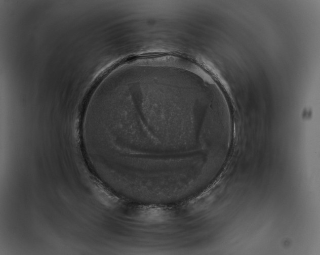 X0000102520249200808081434