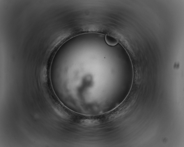 X0000102520251200808081434