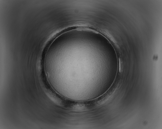 X0000102520252200808081434