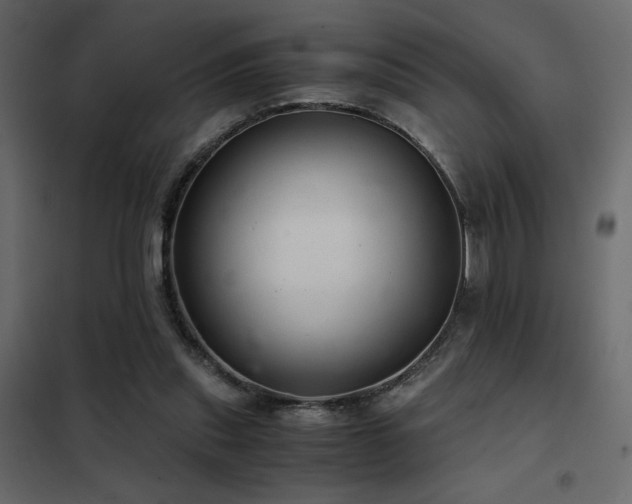 X0000102520253200808081434