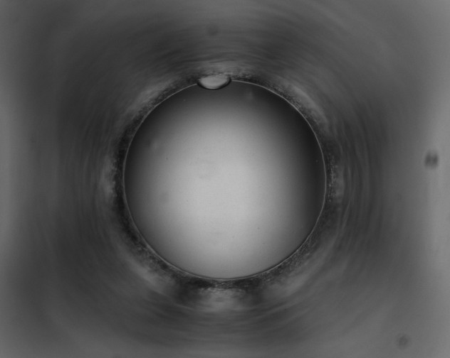 X0000102520255200808081434