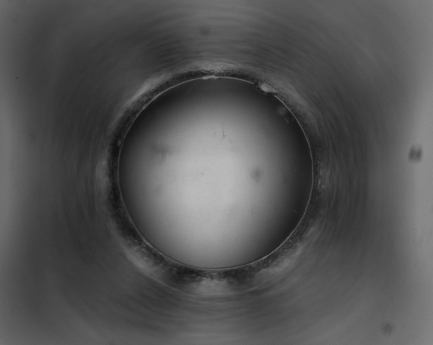 X0000102520256200808081434