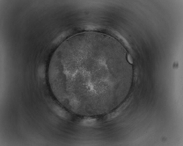 X0000102520257200808081434