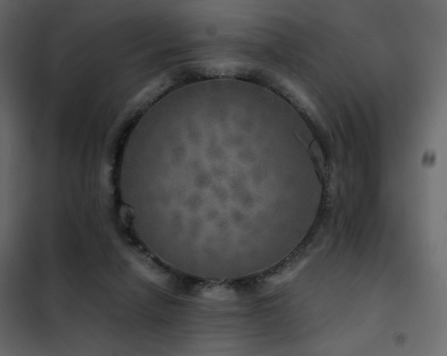 X0000102520258200808081434