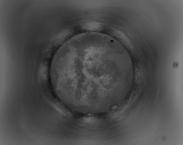 X0000102520259200808081434