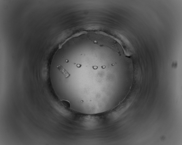 X0000102520261200808081434