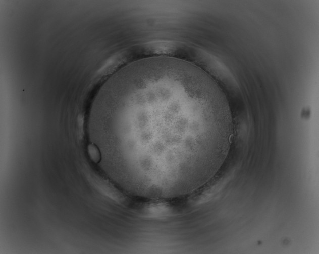 X0000102520262200808081434