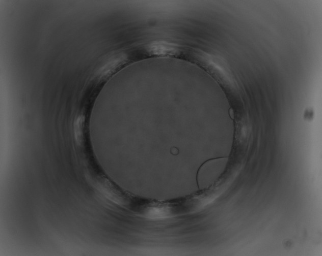 X0000102520263200808081434