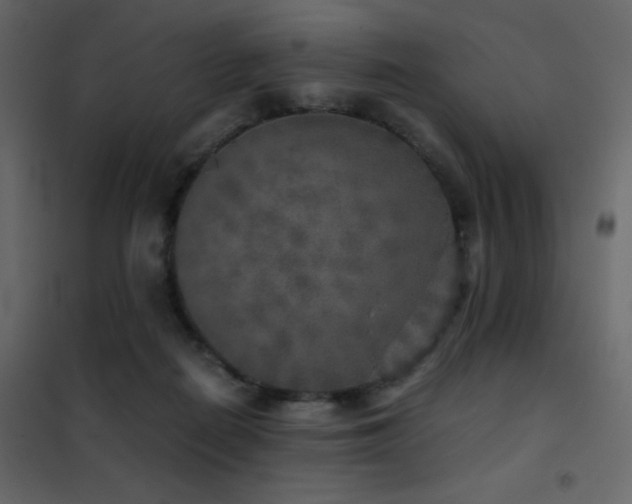 X0000102520266200808081434