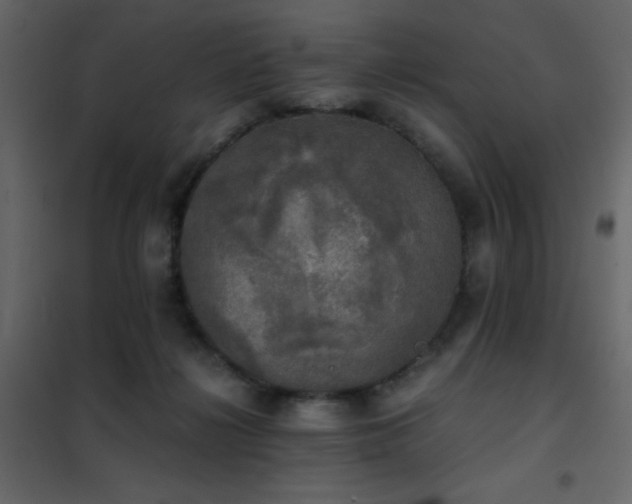 X0000102520268200808081434