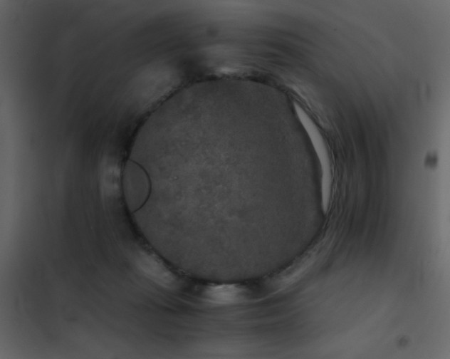 X0000102520269200808081434