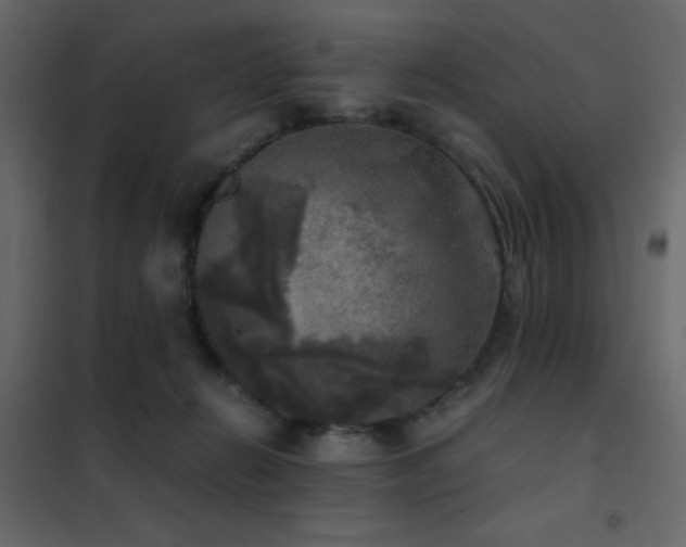 X0000102520270200808081434