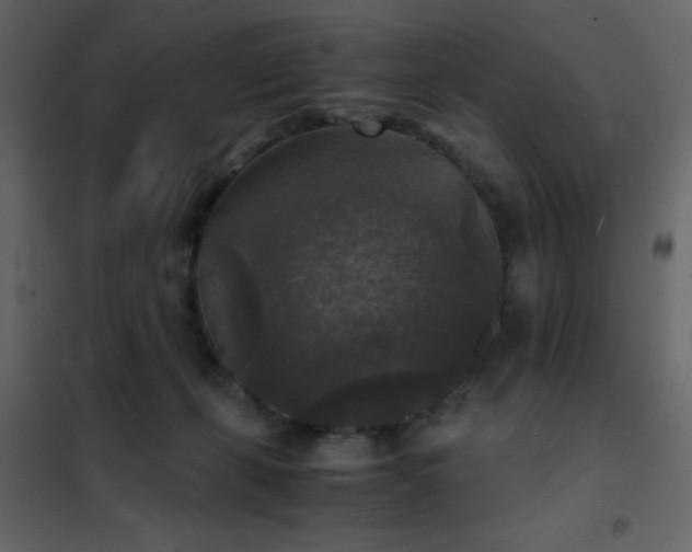 X0000102520271200808081434