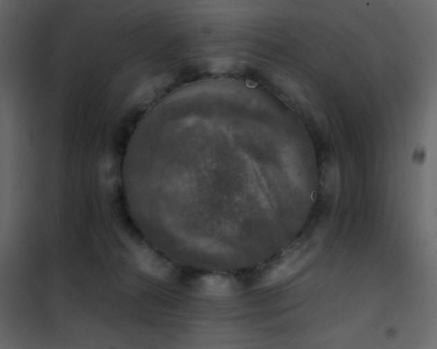 X0000102520272200808081434