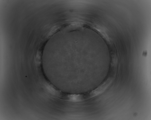 X0000102520273200808081434