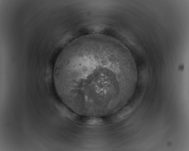 X0000102520274200808081434